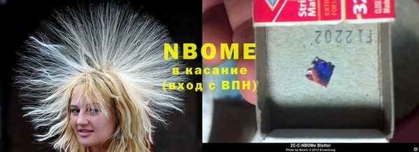 PSILOCYBIN Алзамай