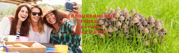 СК Алексеевка