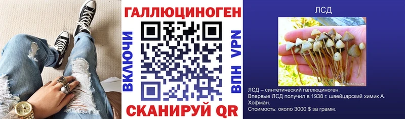 mega   Шахты  Галлюциногенные грибы Psilocybe 